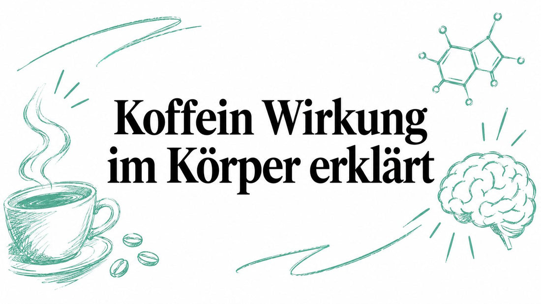 Koffein Wirkung im Körper erklärt