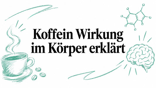 Koffein Wirkung im Körper erklärt
